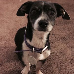 Meet your Posher, Florence